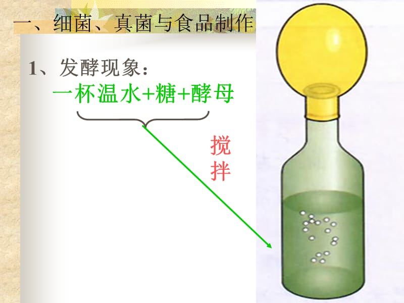 医学课件第二节人类对细菌和真菌的利用.ppt_第2页