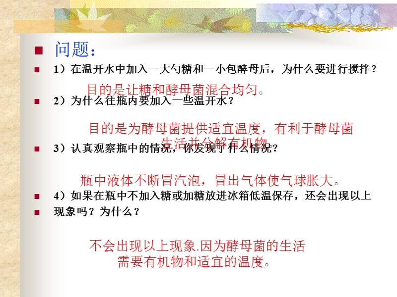 医学课件第二节人类对细菌和真菌的利用.ppt_第3页