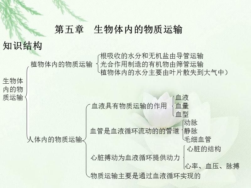 医学课件第五生物体内的物质运输.ppt_第1页