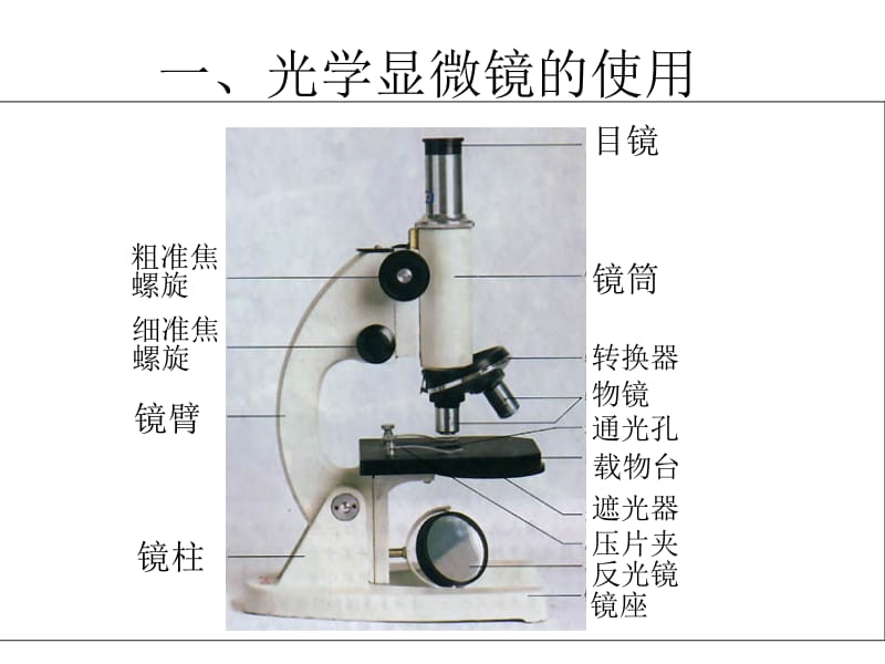 1.2细胞的多样性和统一性[精选文档].ppt_第3页