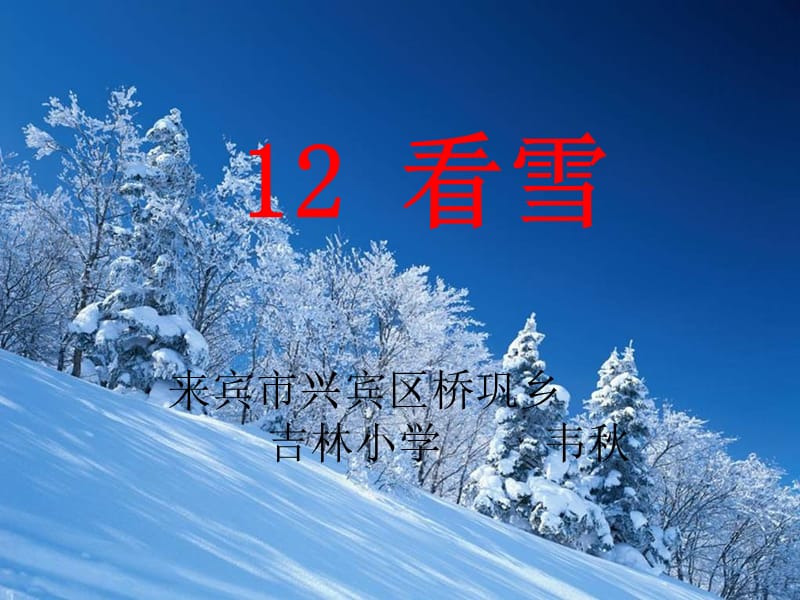 12看雪课件[精选文档].ppt_第1页