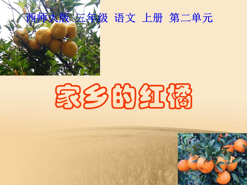 (西师大版)三年级语文上册课件-家乡的红橘-2[精选文档].ppt_第1页