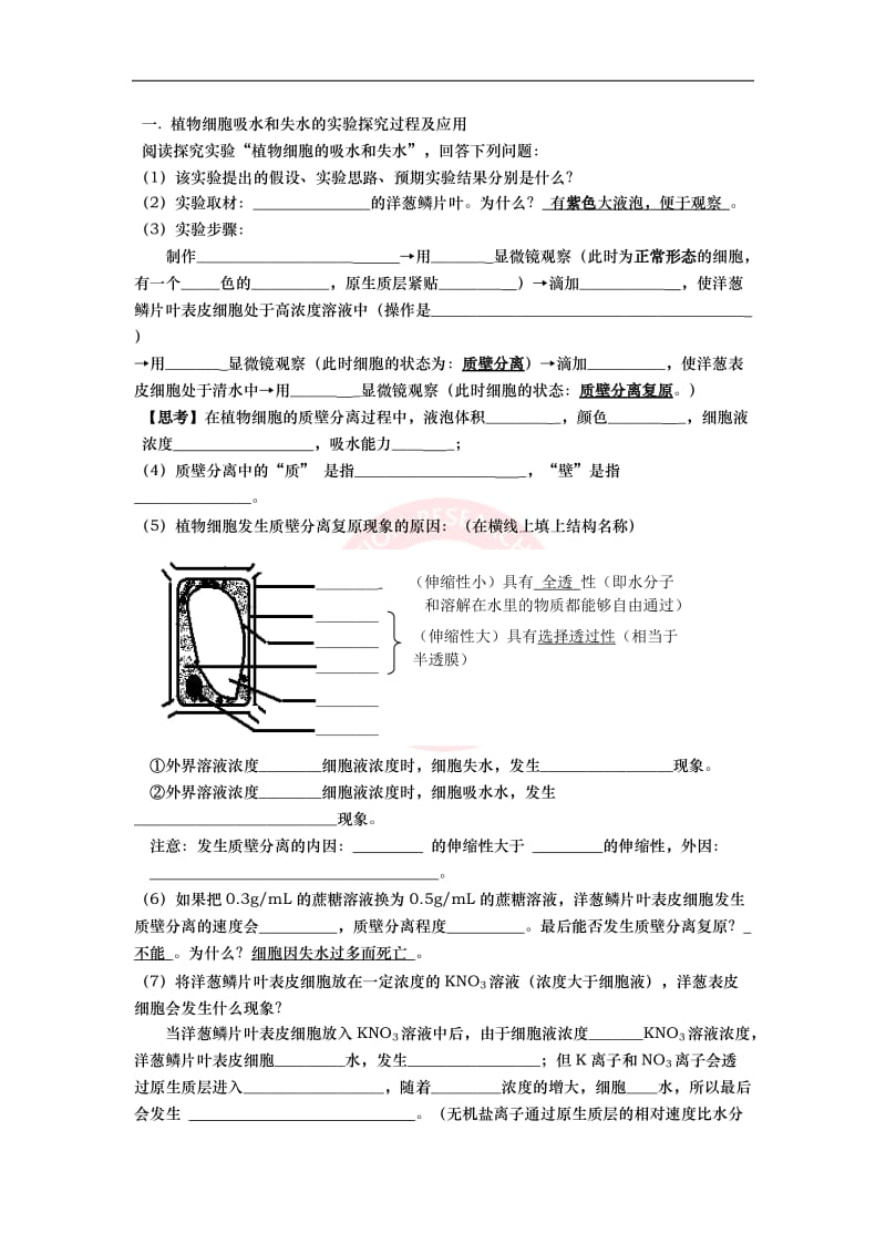 4.1物质跨膜运输的实例学案（人教版必修1）[精选文档].doc_第2页