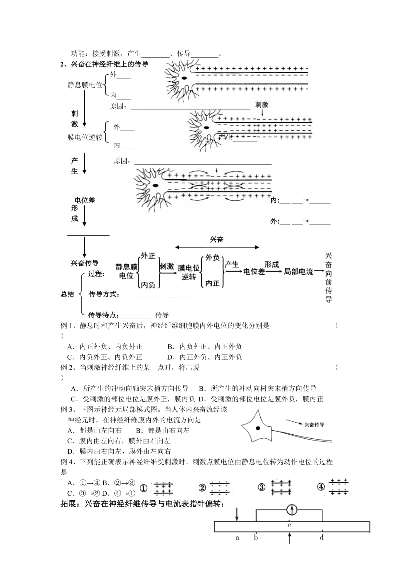 2.1《通过神经系统的调节》试题姜云祥[精选文档].doc_第2页