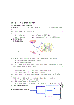 2.1《通过神经系统的调节》试题姜云祥[精选文档].doc