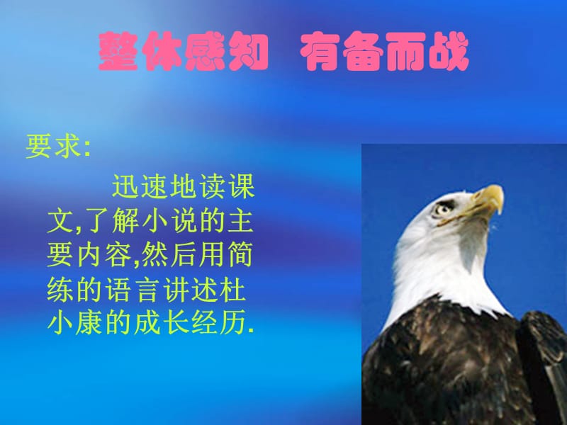 10《孤独之旅》ppt课件[精选文档].ppt_第2页