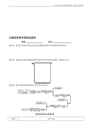 “从微观角度分析电解质在水溶液中的行为”任务单[精选文档].doc