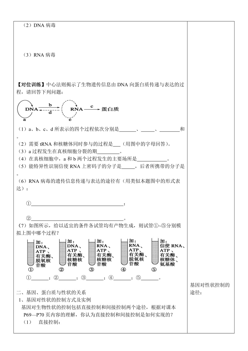 4.2《基因对性状的控制》导学案王云秋[精选文档].doc_第2页