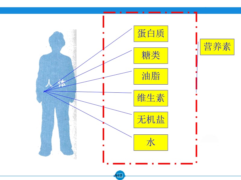 12.1+人类重要的营养物质[精选文档].ppt_第2页