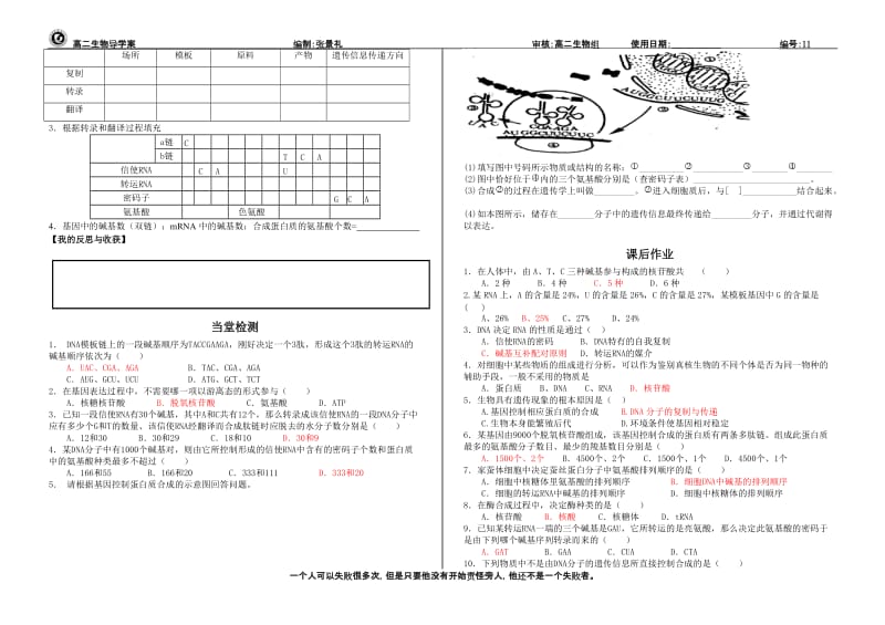 4.1《基因指导蛋白质的合成》试卷试题1张景礼[精选文档].doc_第2页