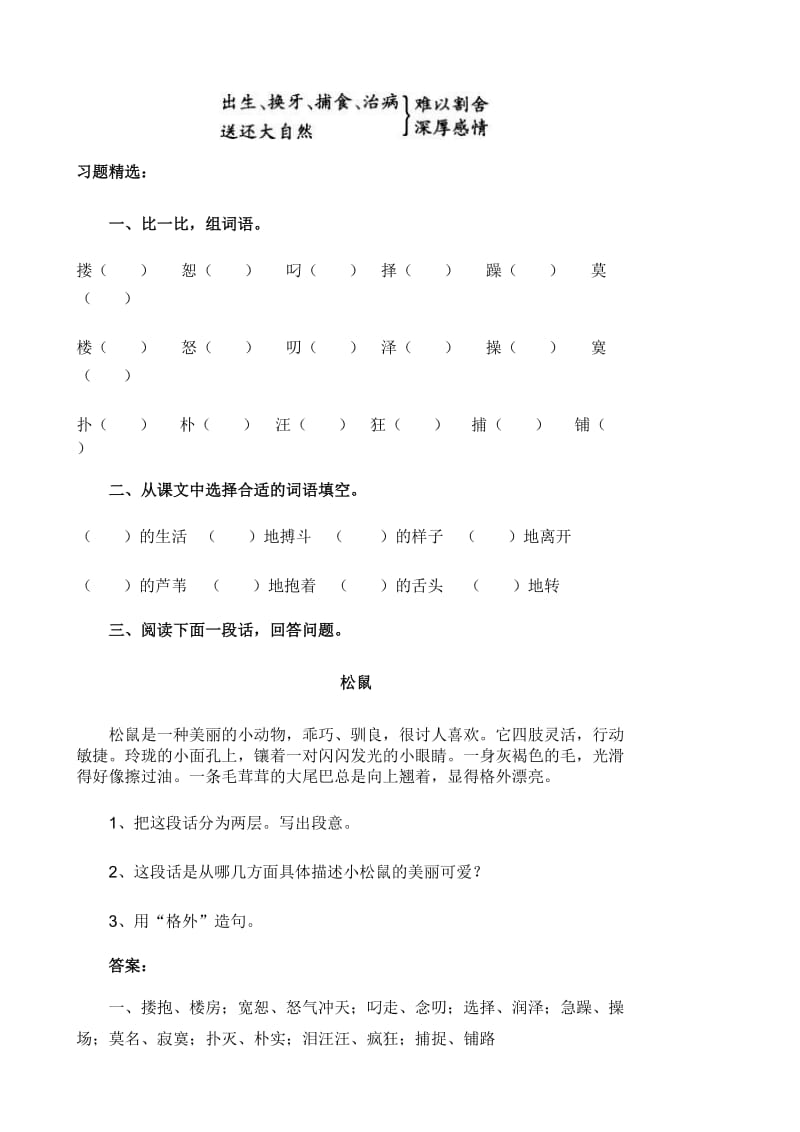 《小狮子爱尔莎》教学设计1[精选文档].doc_第3页