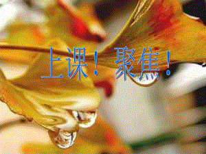 11秋天的雨.ppt[精选文档].ppt