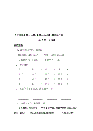 六年级语文第十一册(最后一头战象)同步练习题[精选文档].doc