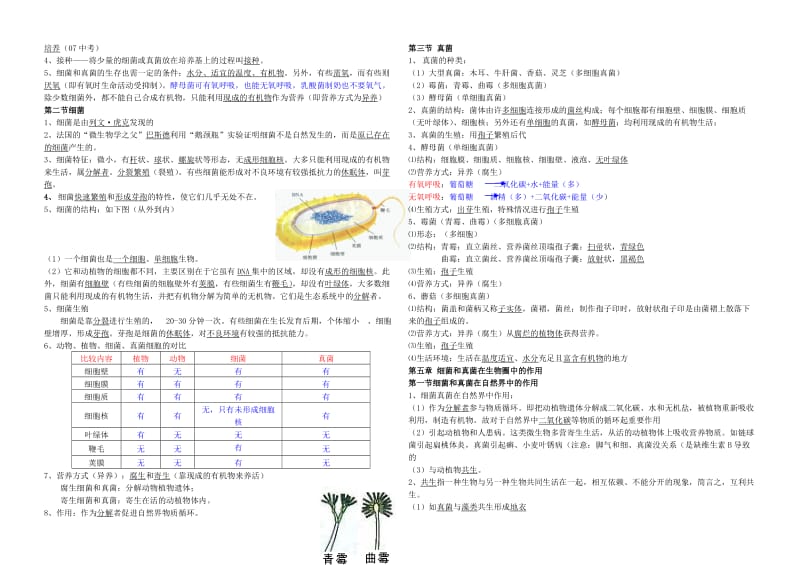 人教版八年级生物上册复习提纲肖鹏[精选文档].doc_第3页