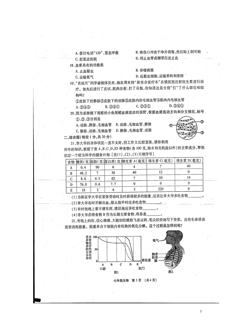 河南省长葛市第一初级中学2017_2018学年七年级生物下学期期中文化素质调研试题扫描版新人教版20.doc_第3页