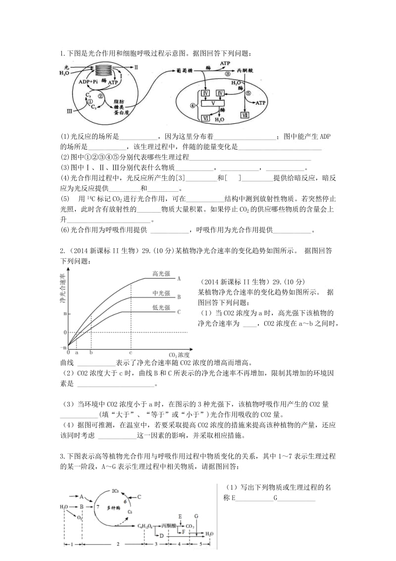 最新光合作用习题汇编.doc_第1页