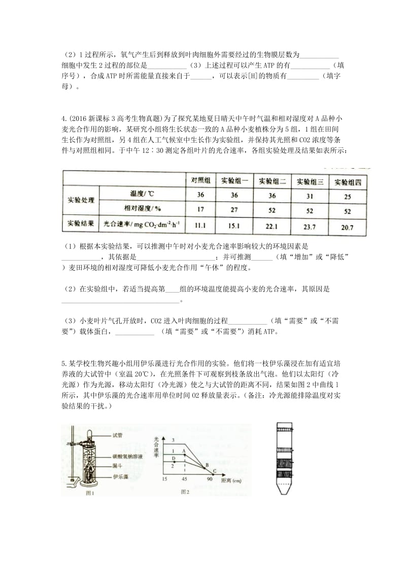 最新光合作用习题汇编.doc_第2页