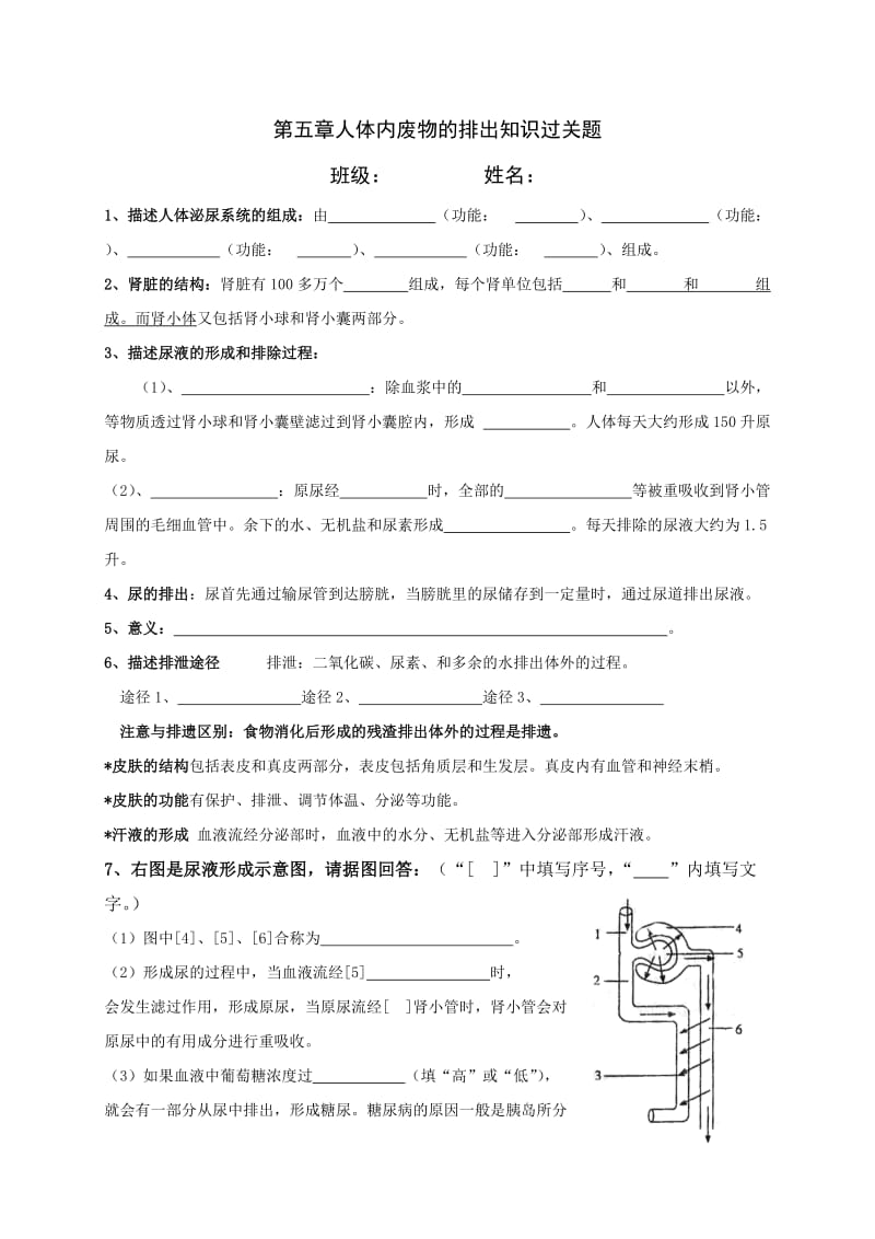 最新人体内废物的排出导学案汇编.doc_第1页