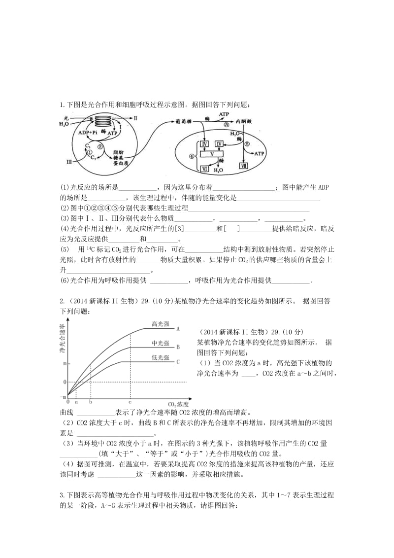 光合作用习题[精选文档].doc_第1页