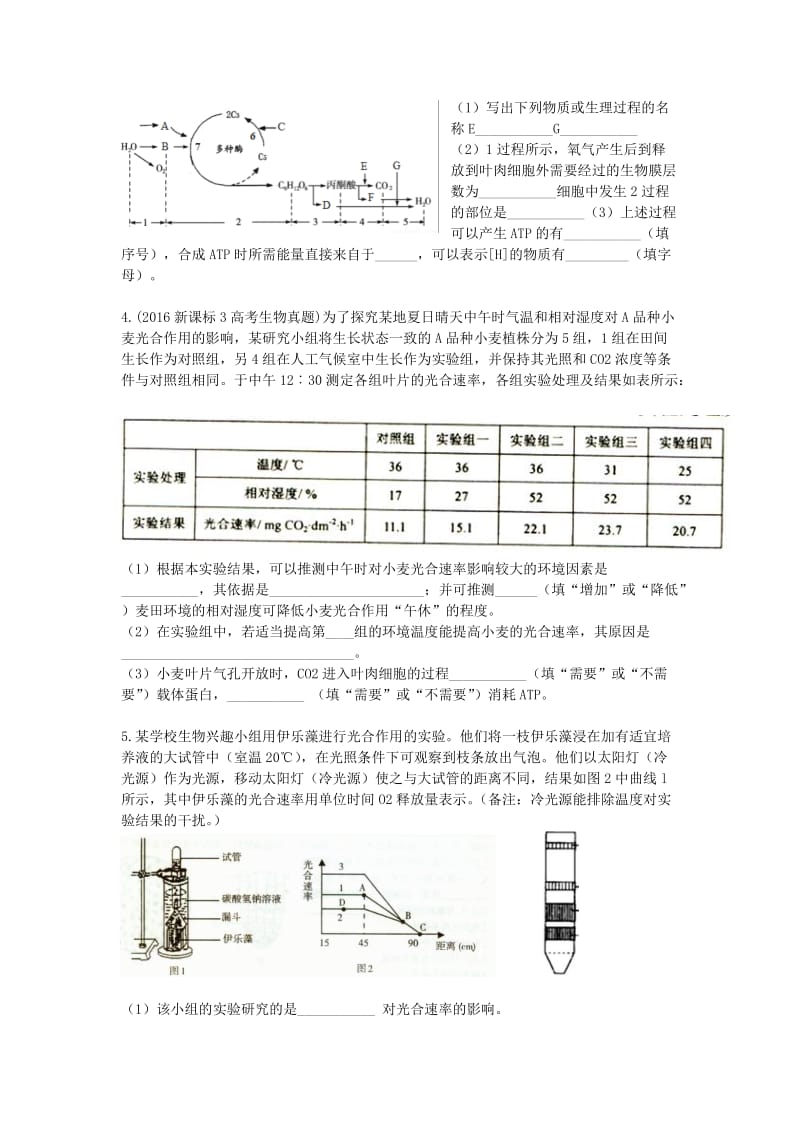 光合作用习题[精选文档].doc_第2页