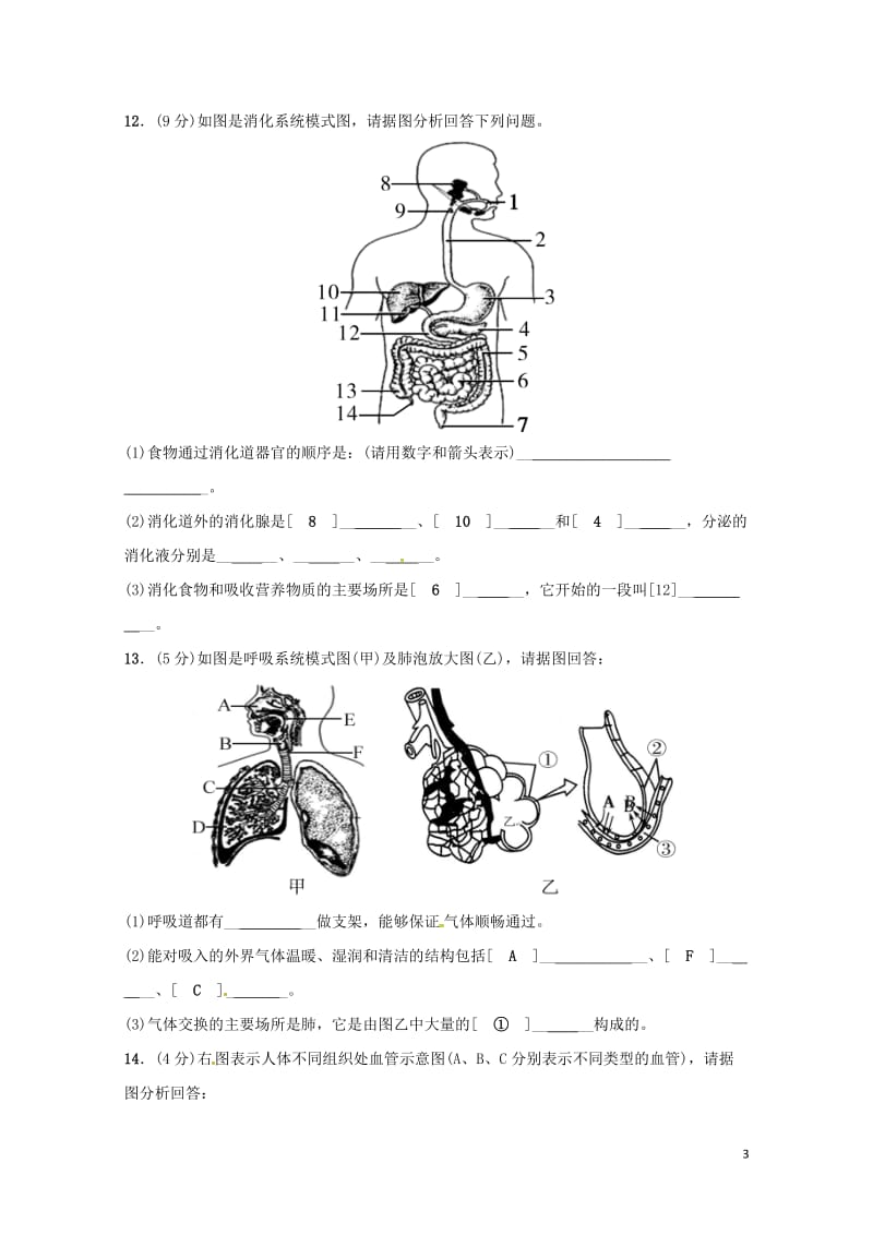 北京市昌平临川育人学校2017_2018学年七年级生物下学期期中试题新人教版20180613412.doc_第3页