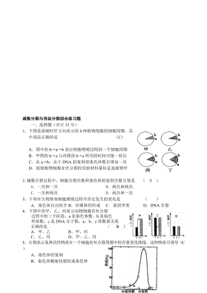 减数分裂有丝分裂综合练习题[精选文档].doc