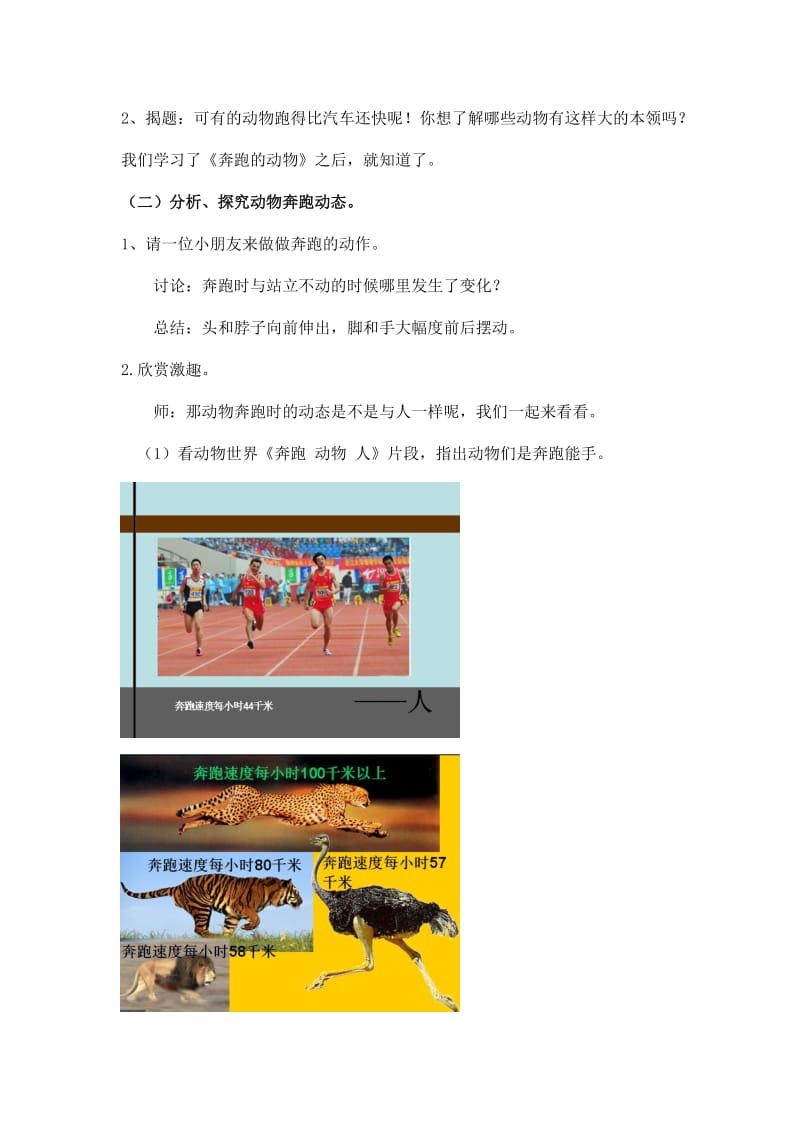 最新奔跑的动物教案图例汇编.doc_第2页