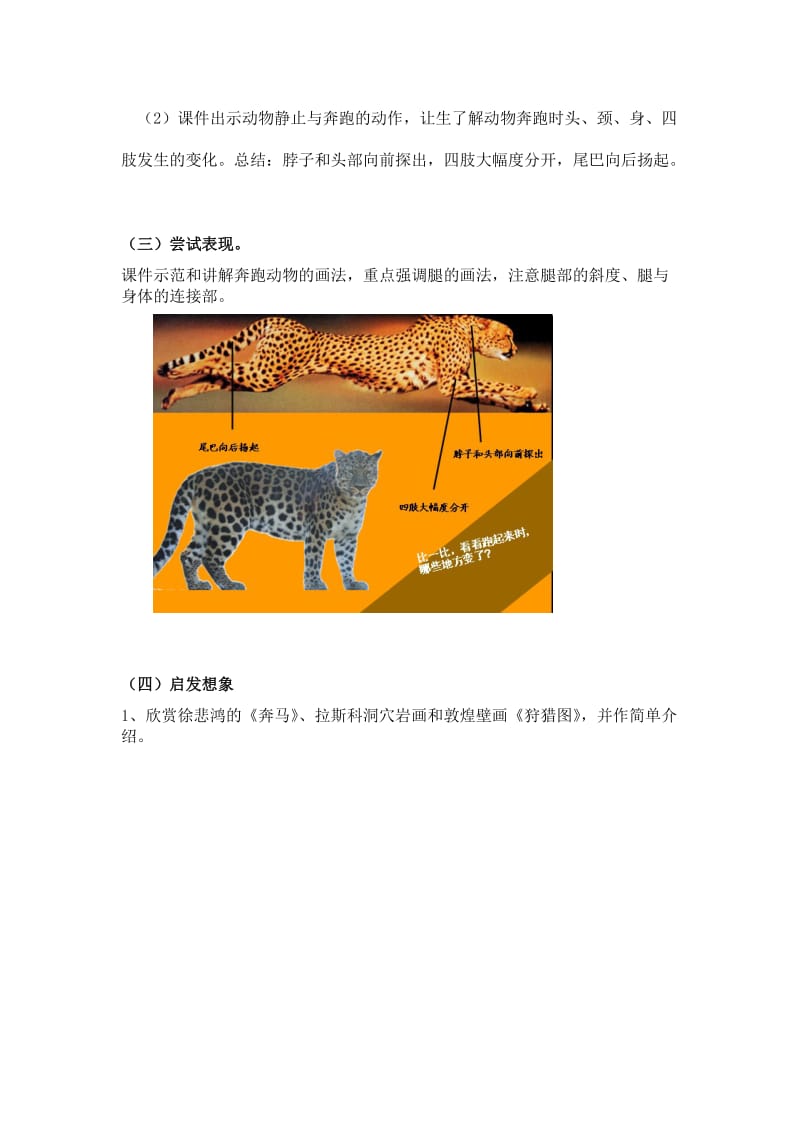 最新奔跑的动物教案图例汇编.doc_第3页