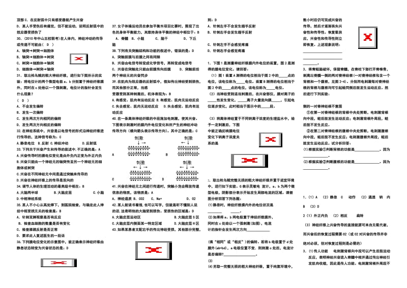 最新通过神经系统的调节优质练习题[1]汇编.doc_第2页