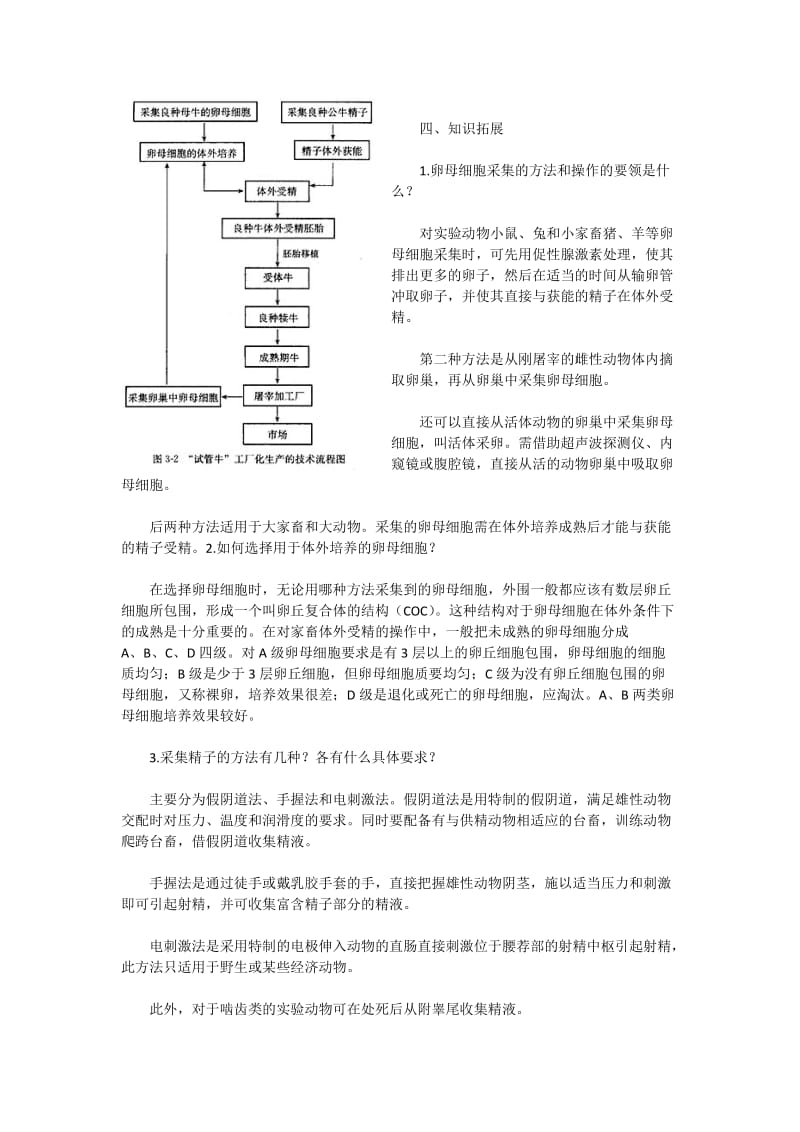 教案：3.2《体外受精和早期胚胎培养》（新人教版选修3）[精选文档].doc_第3页