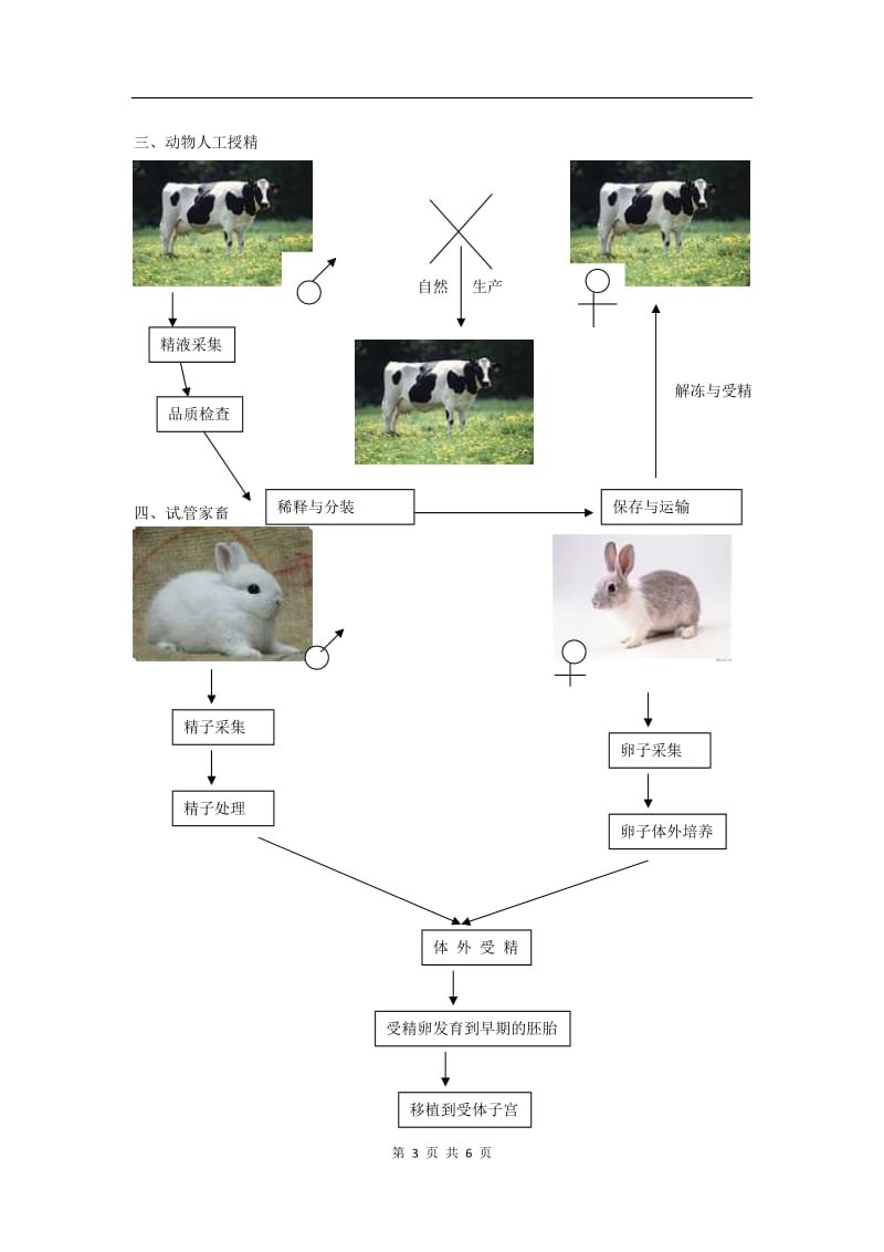 生物：2.1《农业生产中的繁殖控制技术》教案（新人教版选修2）[精选文档].doc_第3页