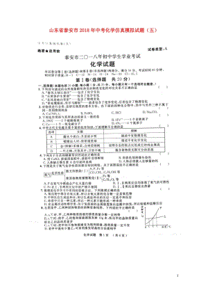 山东省泰安市2018年中考化学仿真模拟试题五201806133176.doc