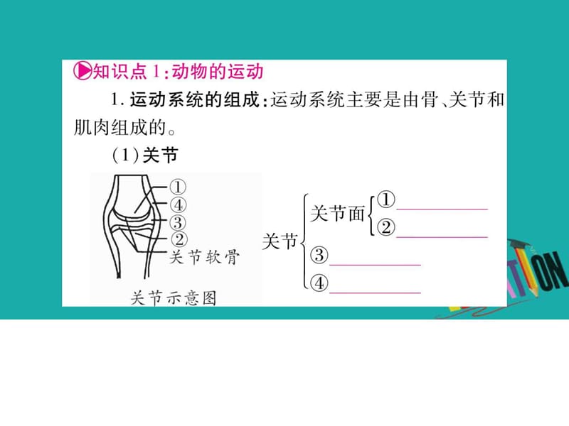 最新2018中考生物总复习教材考点梳理八上第5单元第23章课件..ppt_第2页