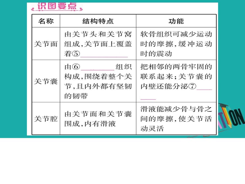 最新2018中考生物总复习教材考点梳理八上第5单元第23章课件..ppt_第3页