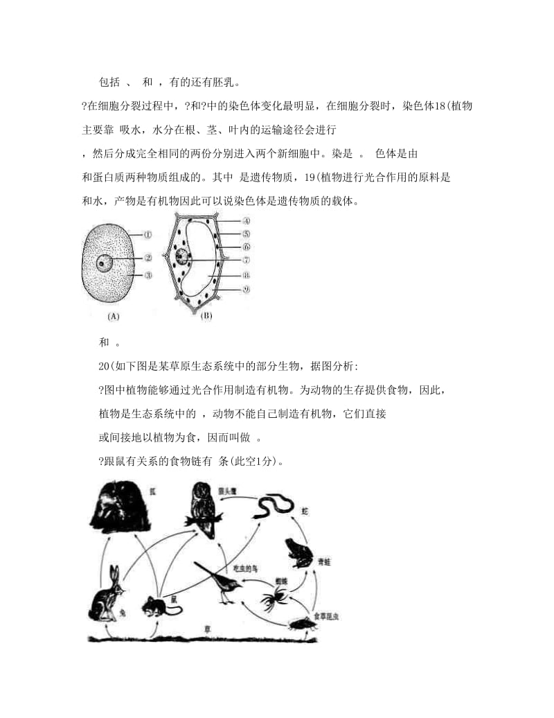 最新七年级生物人教版上册期末考试卷及答案名师优秀教案.doc_第3页