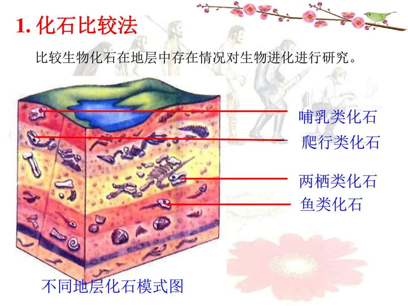 最新2018苏科版生物八年级下册23.2《生物进化的历程》ppt课..ppt_第3页