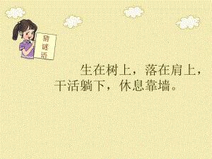 13朱德的扁担 (2)[精选文档].ppt