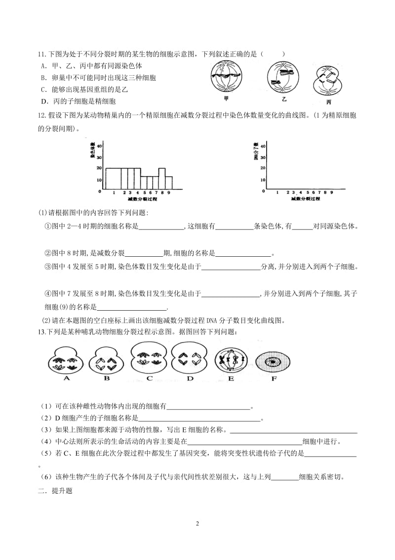 （芳）2014届减数分裂一轮复习题[精选文档].doc_第2页