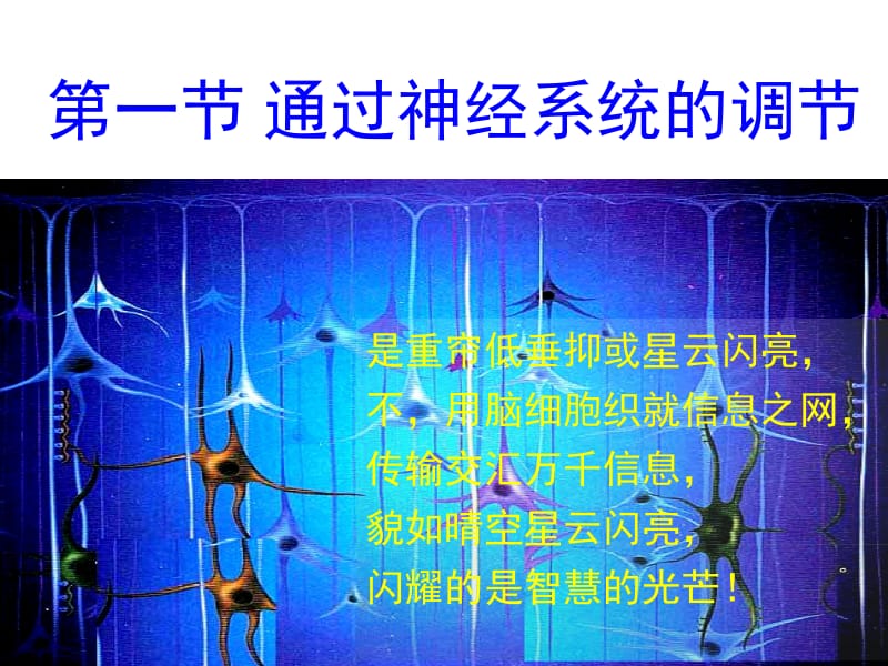 2.1《通过神经系统的调节》课件许艳玲[精选文档].ppt_第1页