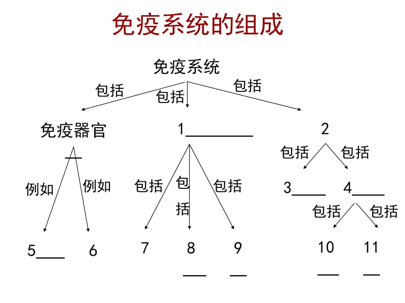 2.4《免疫调节》课件耿培[精选文档].ppt_第1页