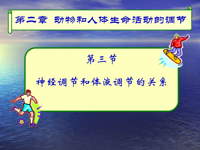 2.3《神经调节与体液调节的关系》课件王有泽[精选文档].ppt_第3页