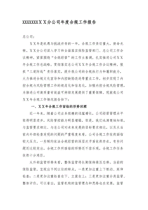 最新保险公司分公司年度合规工作报告.docx