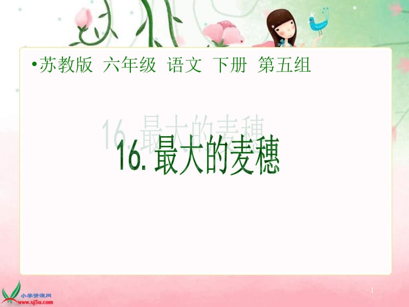 16《最大的麦穗》[精选文档].ppt_第1页