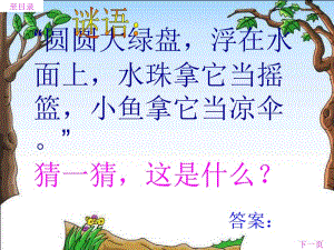 14《荷叶圆圆》[精选文档].ppt