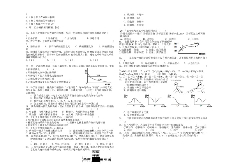 高二生物期中考试试卷[精选文档].doc_第2页