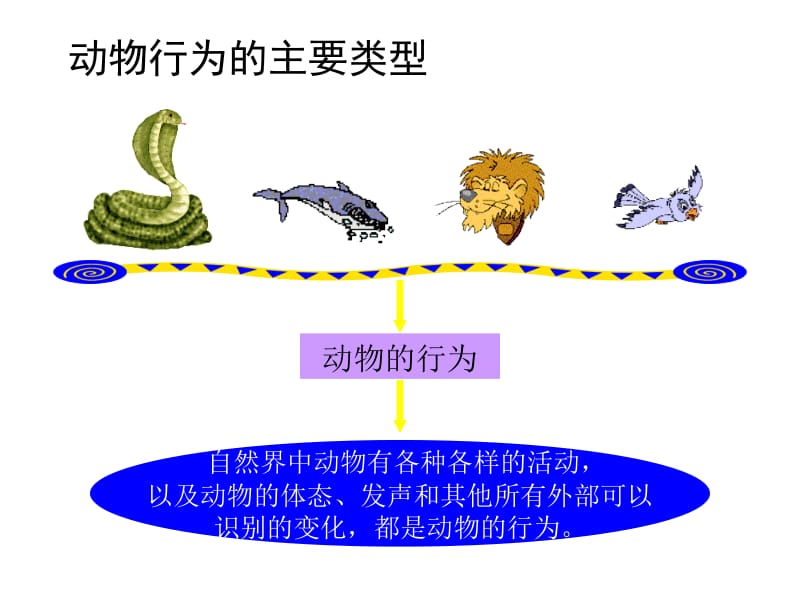 18-1动物行为[精选文档].ppt_第3页