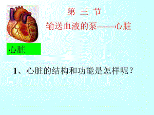 4.4.3输送血液的泵—---心脏（1）[精选文档].ppt