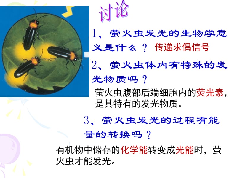 5.2《细胞的能量“通货”──ATP》课件[精选文档].ppt_第2页