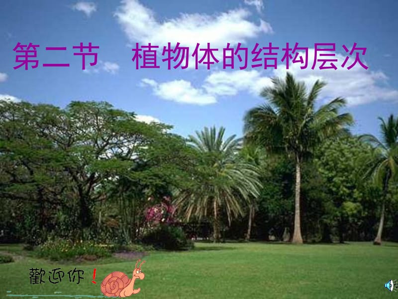 2_植物体的结构层次_公开课课件人教版[精选文档].ppt_第1页