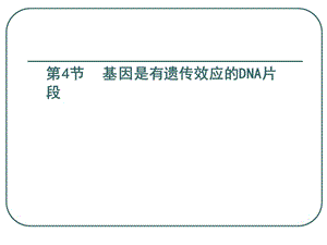 3.4《基因是有遗传效应的DNA片段》课件3[精选文档].ppt